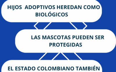 Leyes curiosas sobre herencias familiares en Colombia que debes conocer